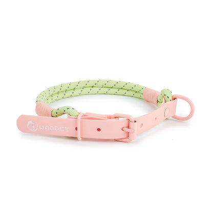 CANDY DOG COLLAR